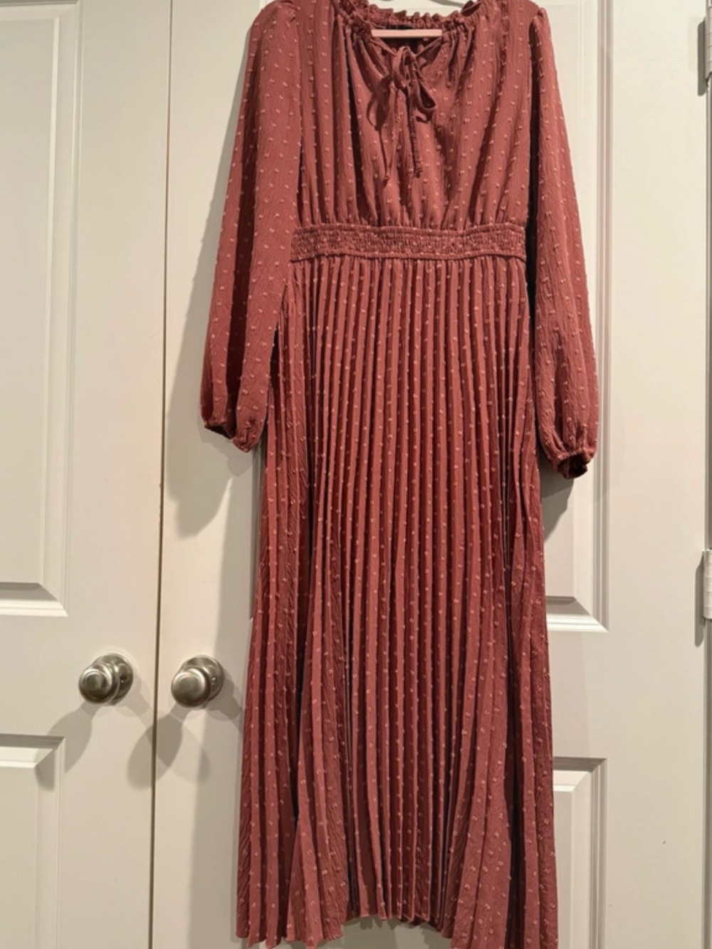 Long Pleated Swiss Dot Maxi Dress in Dusty Rose - Picture 3 of 3